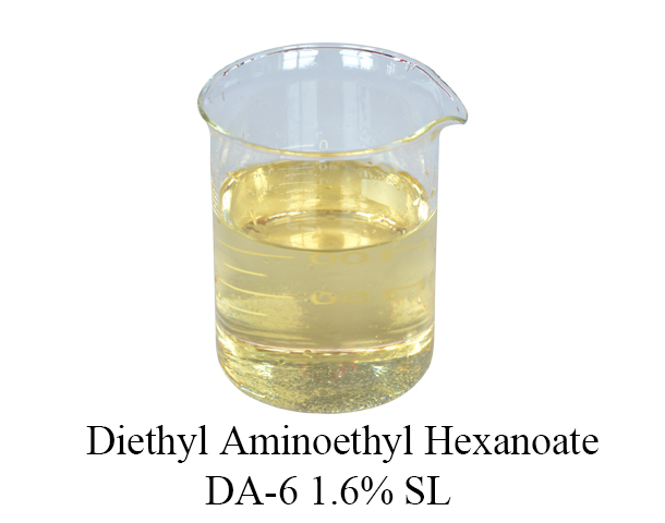 Diethyl Aminoethyl Hexanoate (DA-6)